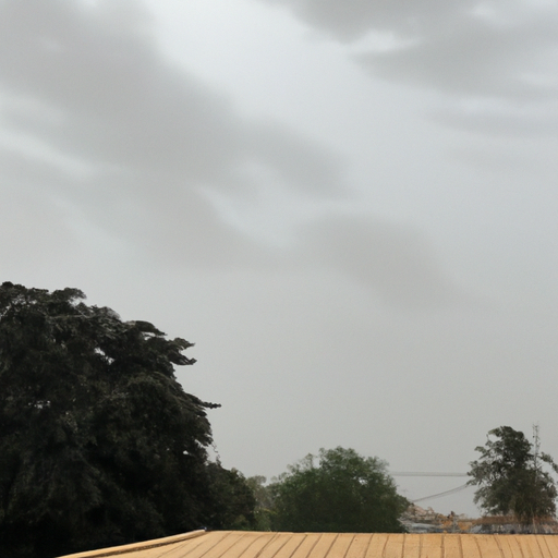 What is the weather like in Gambia